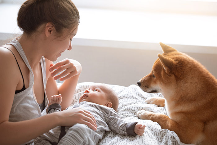 New mom introducing dog to baby