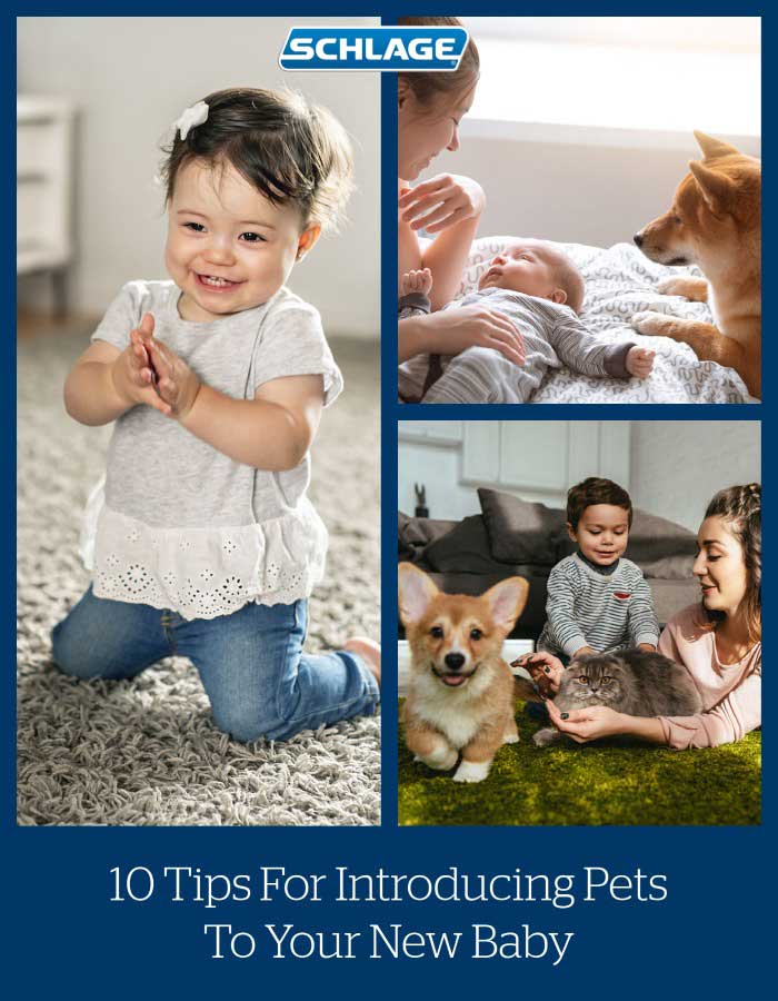 Tips for introducing pets to baby