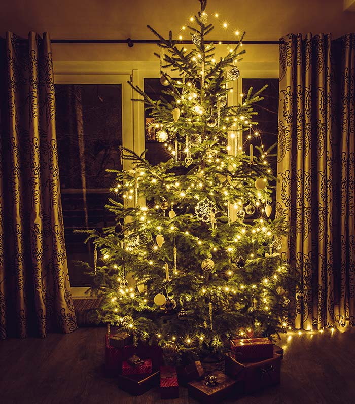 Real Christmas tree with lights at night.