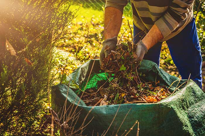 Bag of yard waste