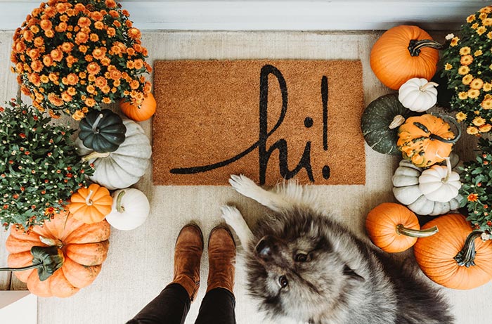 Dog lying next to owner and doormat on front porch decorated for fall with pumpkins and mums.