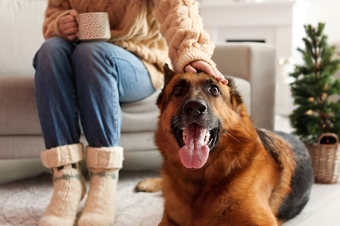 Woman petting German Shephard dog laying on floor.