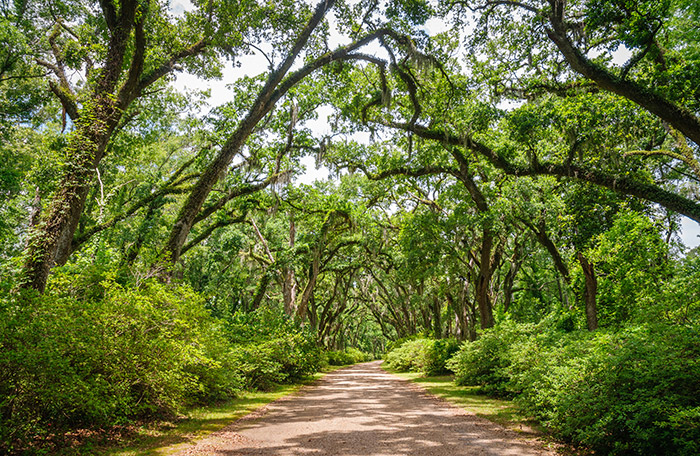 Afton Villa Gardens Louisiana landscape.