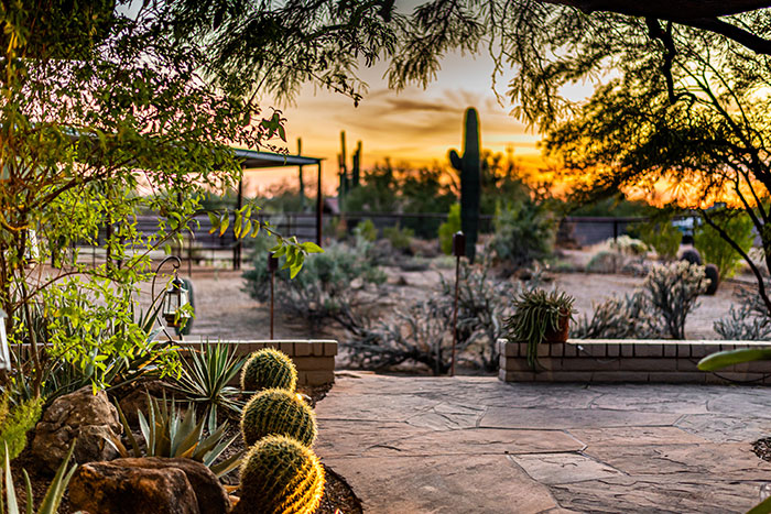 Arizona patio landscape.