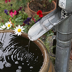 6 ways to start rainscaping for water conservation.