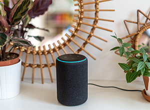 Echo device on shelf with plants.