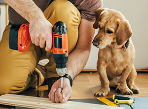 Woman holding sledgehammer man with paint roller.