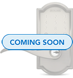 Schlage Encode Lever