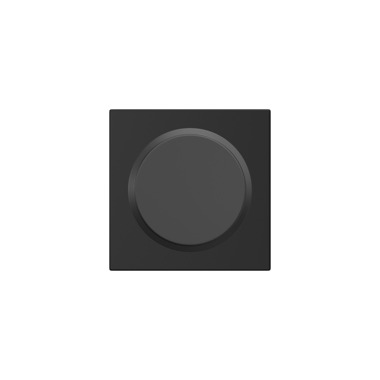 Custom Swanson Hall-Closet and Bed-Bath Lock Knob