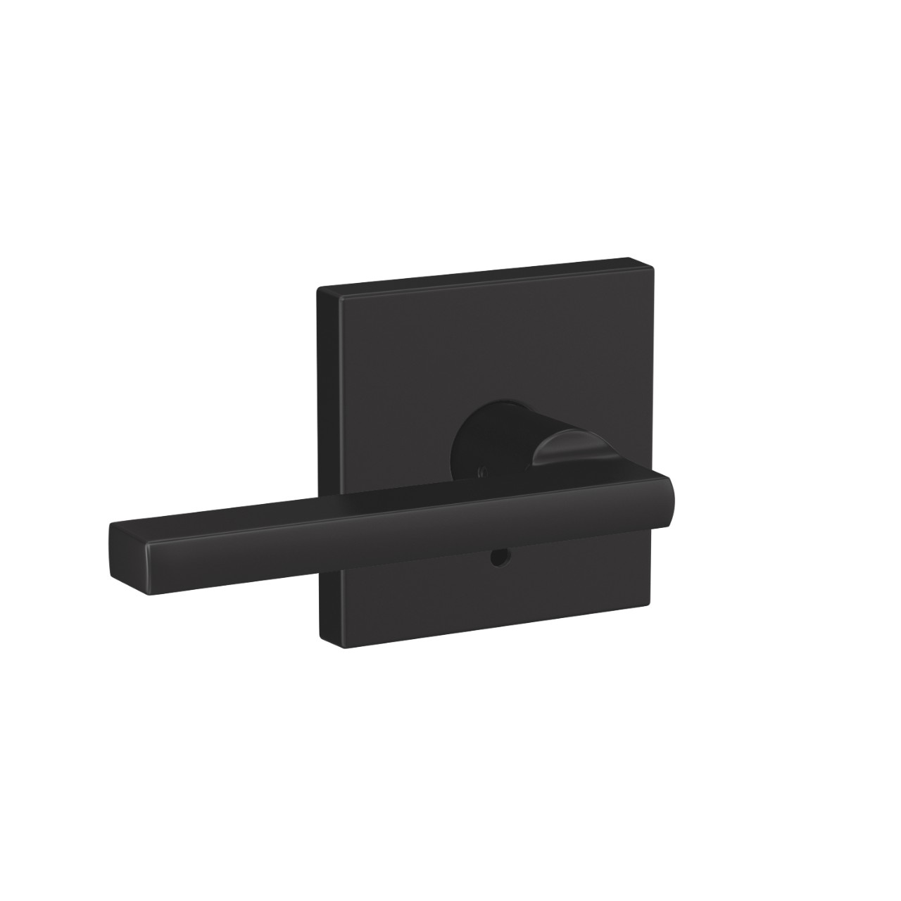 Custom Latitude Non-Turning Lever