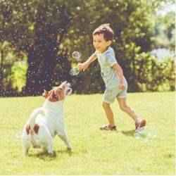 Boy playing outside with dog.