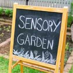 Sensory garden ideas | Schlage