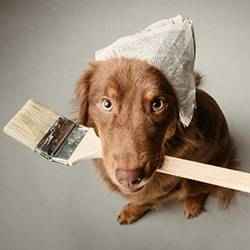 Dog with paint brush | Schlage