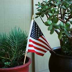 Sustainable fourth of july ideas | Schlage