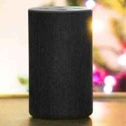 Amazon Alexa speaker | Schlage