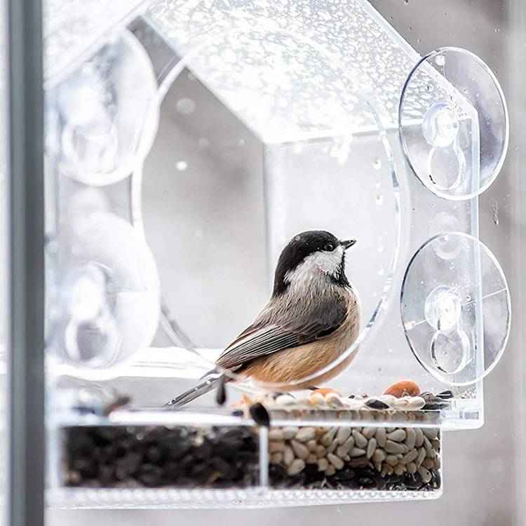 Window-mounted bird feeder