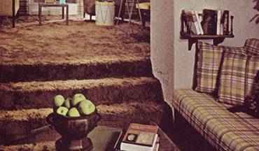 1970s shag carpet.
